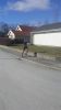 20150328_130510