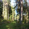 DSCN8783